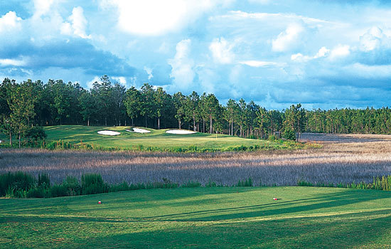 Shell Landing Golf Club - Tall Grasses