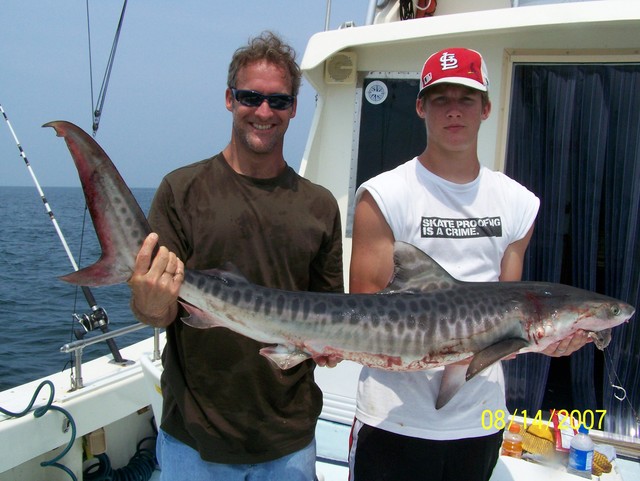Tiger Shark Fishing - Mississippi Gulf Coast