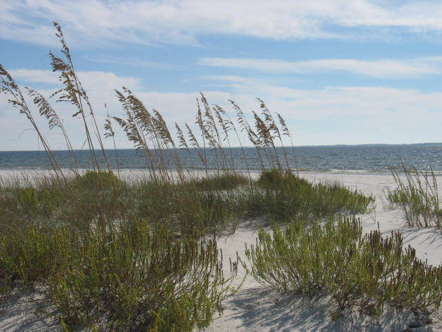 Sugar Sand beaches - Alabama Gulf Shores