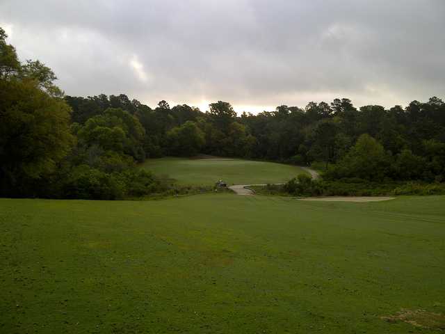 Eglin AFB Golf Course Eagle in Niceville Eglin AFB Golf Course Eagle in Niceville