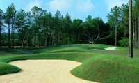 The Oaks GC: #6