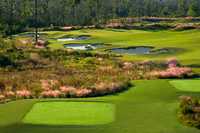 The Preserve GC: #16