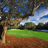 Meadows at Bay Point Resort: The third green is well protected in front and back by bunkers and on both sides by trees and shrubs.