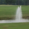 A view of green at Sunkist Country Club