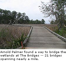 The Bridges