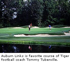 Auburn Links