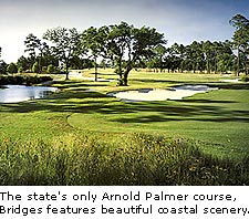 The Bridges Golf Club