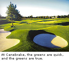 Canebrake