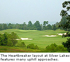 Silver Lakes