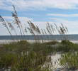 Sugar Sand beaches - Alabama Gulf Shores