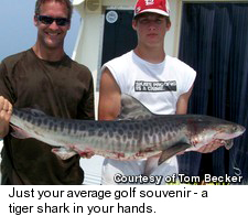 Tiger Shark Fishing
