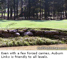 Auburn Links