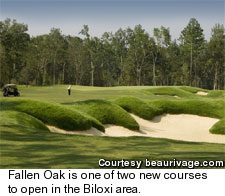 Biloxi - Fallen Oak