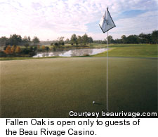 Biloxi - Fallen Oak