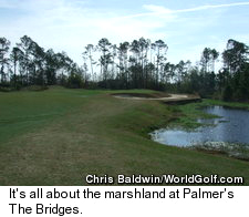 The Bridges Golf Club - Marsh