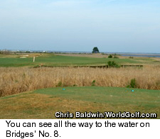 The Bridges Golf Club - No.8