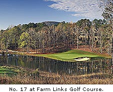 No. 17 at Farm Links Golf Courses