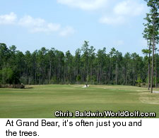 Grand Bear Golf Course - Woods