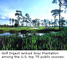 Gray Plantation