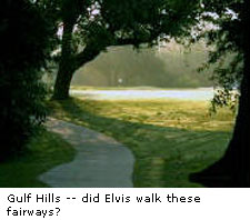 Gulf Hills