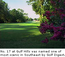 Gulf Hills