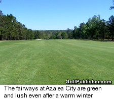 The Fairways at Azalea City