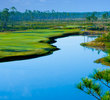The Preserve Golf Club - No. 14