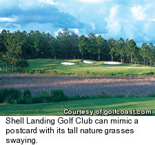 Shell Landing Golf Club