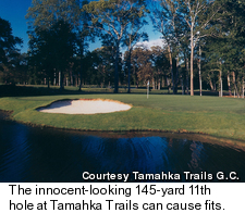 Koasati Pines Golf Course - 19th Hole